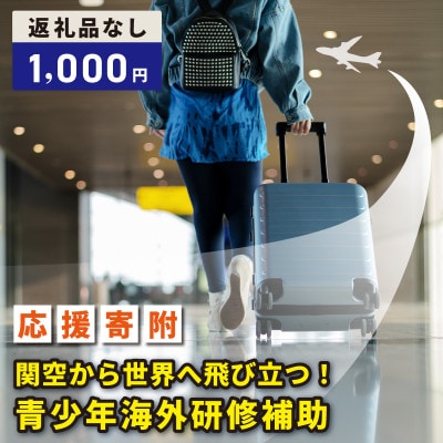 【返礼品なし】関空から世界へ飛び立つ!青少年海外研修補助応援寄附(大阪府泉佐野市) ON0031