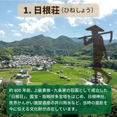 【返礼品なし】3つの日本遺産を核とする史跡等保存応援寄附(大阪府泉佐野市) ON0009