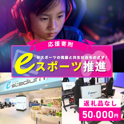 【返礼品なし】eスポーツの発展と共生社会の実現をめざす!eスポーツ推進応援寄附 ON0014