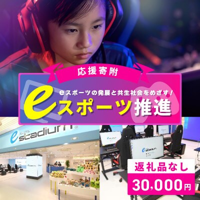 【返礼品なし】eスポーツの発展と共生社会の実現をめざす!eスポーツ推進応援寄附 ON0013