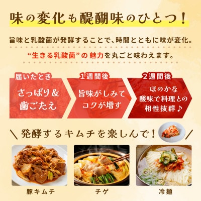 韓国人が作る!無添加・砂糖不使用の白菜キムチ1kg+お試し季節のキムチ100g