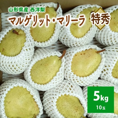西洋梨(マルゲリット・マリーラ)5kg　10玉　特秀品　0042-2604