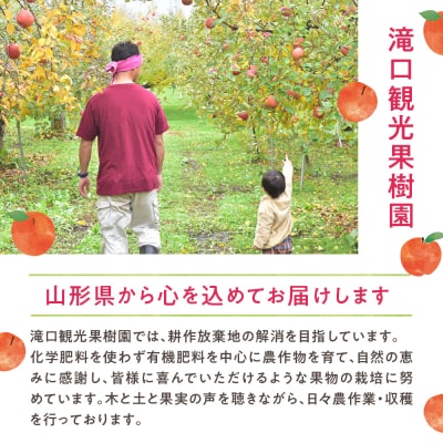 ねっづぐすぼた100%ジュースセット 滝口観光果樹園提供 hi030-050