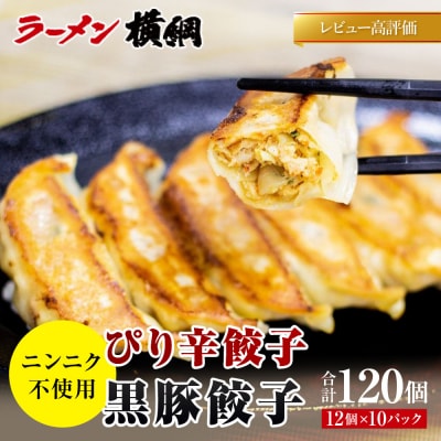 【ラーメン横綱】横綱の餃子はニンニク不使用!ぴり辛餃子・黒豚餃子 各5パックセット