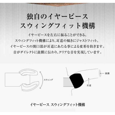 マイク付きハイレゾイヤホン final E3000C