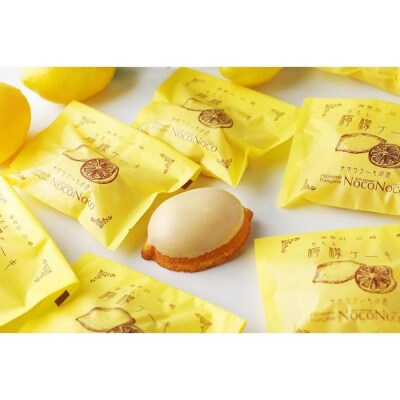 【川崎市にあるケーキ屋パティスリーノコノコ】 シェフ自慢のレモンケーキ10個