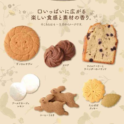 季節の焼き菓子ギフト(L箱)
