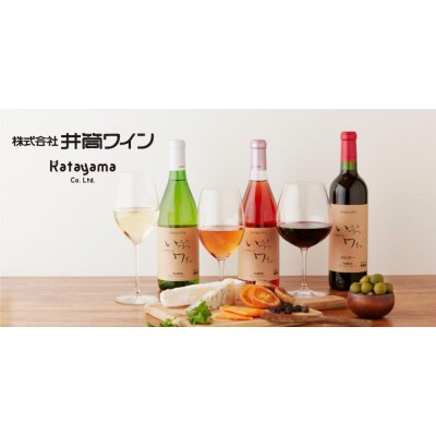 井筒ワイン 酸化防止剤不使用 井筒 コンコード 赤中口 720ml × 2本