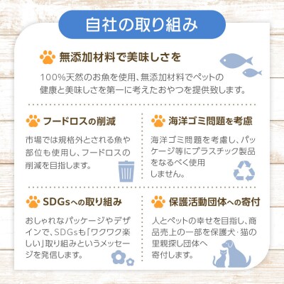 お魚だよ全員集合　季節のアソートセット 3,000円セット　ネコちゃん用