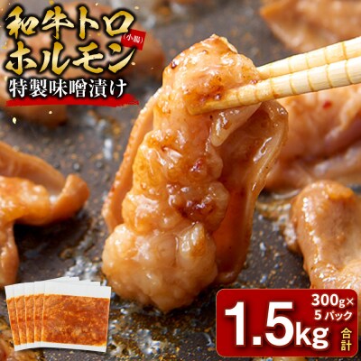 ＜訳アリ＞和牛トロホルモン　特製味噌漬け　1.5kg(300g×5)【2026年11月発送】