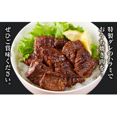 ＜訳あり＞牛ハラミ　特製たれ漬　3.0kg【1月発送】