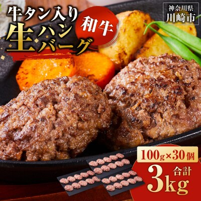 牛タン”入り”和牛生ハンバーグ　100g×30pc　合計3kg【2月発送】