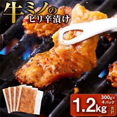 牛ミノ ピリ辛漬け 1.2kg ( 300g × 4パック ) 【2026年4月発送】