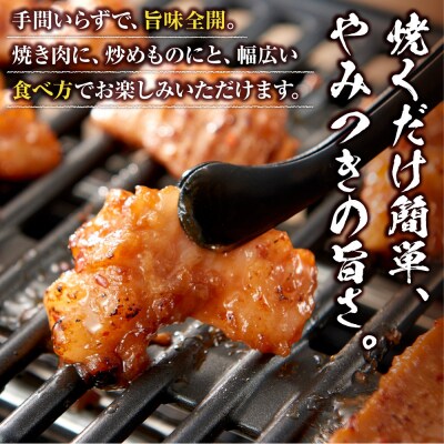 ＜訳アリ＞和牛ホルモン(大腸)　特製味噌漬け　1.5kg(300g×5)【2026年4月発送】