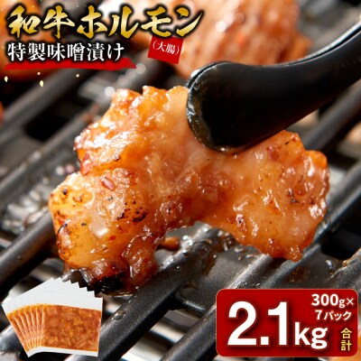＜訳アリ＞和牛ホルモン(大腸)　特製味噌漬け　2.1kg(300g×7)【2026年1月発送】