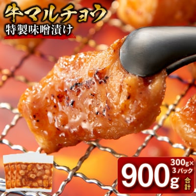 ＜訳アリ＞牛マルチョウ　特製味噌漬け　0.9kg(300g×3)【2026年3月発送】