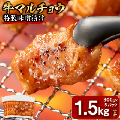 ＜訳アリ＞牛マルチョウ　特製味噌漬け　1.5kg(300g×5)【2026年2月発送】