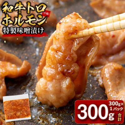 ＜訳アリ＞和牛トロホルモン　特製味噌漬け　0.3kg(300g×1)【2026年3月発送】