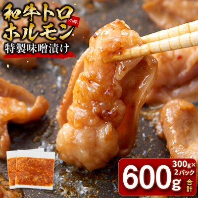 ＜訳アリ＞和牛トロホルモン　特製味噌漬け　0.6kg(300g×2)【2026年4月発送】