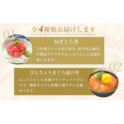 【定期便 全2回】まぐろ・かつお丼ぶりセット 4種10食分×2回 計20個【FW005】