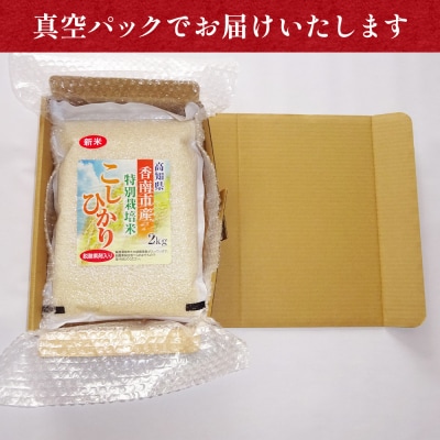 【定期便】無洗米 コシヒカリ 2kg 3回 令和8年産 特別栽培米 真空パック Wnu-0011