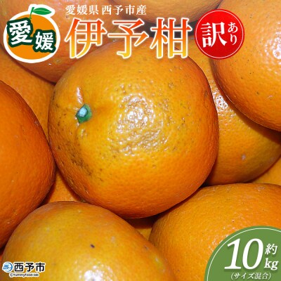 <訳あり 伊予柑 (サイズ混合) 約10kg>蜜柑 ミカン みかん　丸二青果