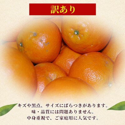 <訳あり 伊予柑 (サイズ混合) 約10kg>蜜柑 ミカン みかん　丸二青果