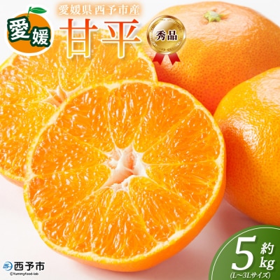 <秀品 甘平 (L～3Lサイズ) 約5kg>蜜柑 ミカン みかん 果物 柑橘 かんぺい 丸二青果