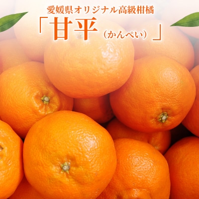<秀品 甘平 (L～3Lサイズ) 約5kg>蜜柑 ミカン みかん 果物 柑橘 かんぺい 丸二青果