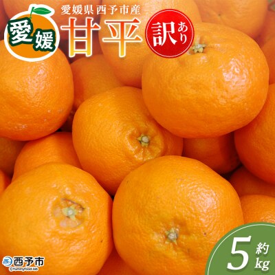 <訳あり 甘平 (サイズ混合) 約5kg>蜜柑 ミカン みかん 果物 丸二青果