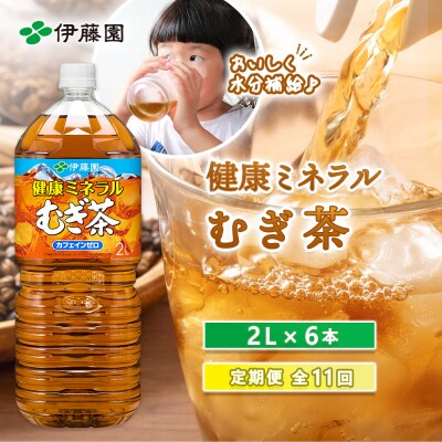 『定期便:全11回』健康ミネラルむぎ茶2L×6本【50001401】