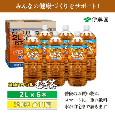 『定期便:全11回』健康ミネラルむぎ茶2L×6本【50001401】