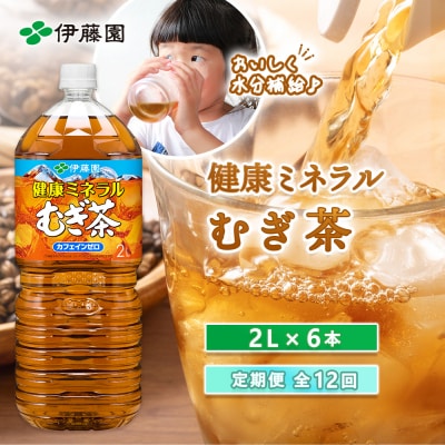 『定期便:全12回』健康ミネラルむぎ茶2L×6本【50001501】