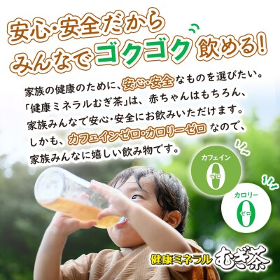 『定期便:全5回』健康ミネラルむぎ茶2L×6本×2箱【50001801】
