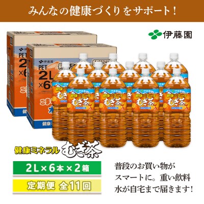 『定期便:全11回』健康ミネラルむぎ茶2L×6本×2箱【50002301】