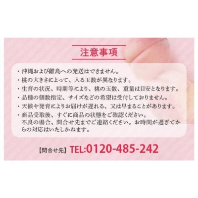透過式光センサーあかつき桃 特秀3kg相当 9玉～11玉 ふくしま 桃 福島 もも 国見 モモ