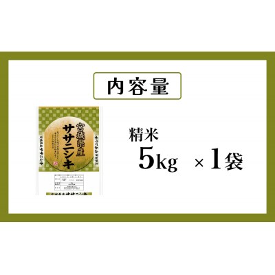 米 令和7年産 ササニシキ 精米 5kg お米 ごはん ご飯 飯 5キロ 単一銘柄米 主食