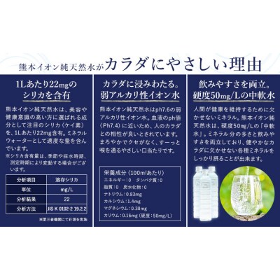 熊本イオン純天然水 ラベルレス 2L×20本 《1-3日以内に出荷予定(土日祝除く)》