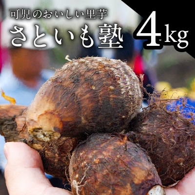 可児のおいしい里芋『さといも塾』4kg