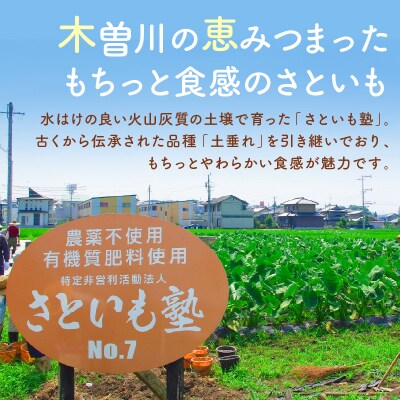 可児のおいしい里芋『さといも塾』4kg