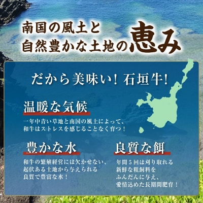 石垣牛 ハンバーグ ≪100g10個≫(八重山パーツミート)