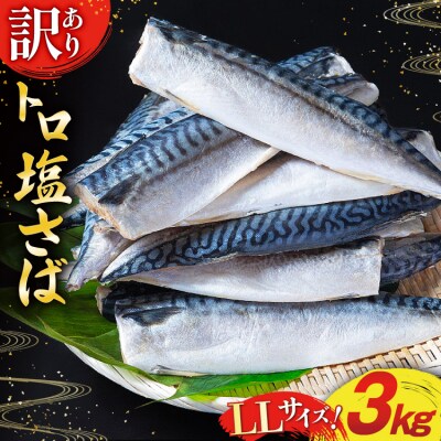 訳あり さば トロ 塩サバ フィレ LLサイズ 3kg ★フィレ1枚230g超え[20565620]