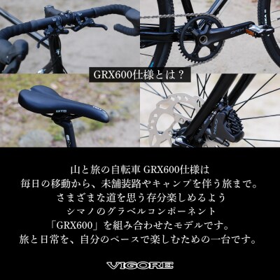 【VIGORE】山と旅の自転車プラス GRX600(1×11速)(自転車,オリジナル自転車)