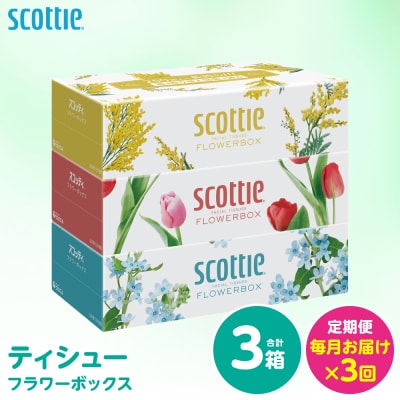 【毎月定期便】 ティッシュ 250組 3箱 日用品 スコッティ 全3回_186-6711
