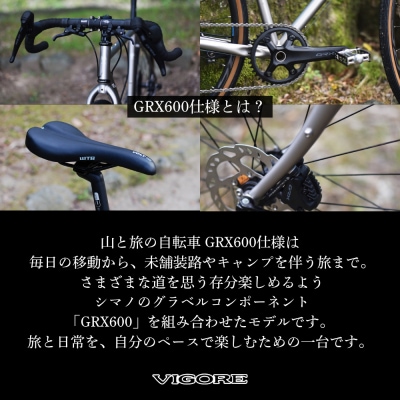 【VIGORE】山と旅の自転車プラス GRX600(1×11速 / マット・チタンカラー)(自転車)