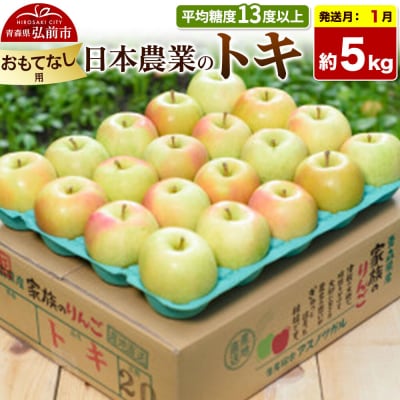 【27年1月発送】りんご トキ【おもてなし用】約5kg|24_nng-060501bh