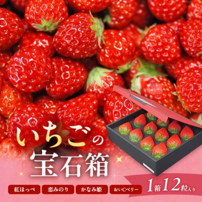 いちご 2027年 先行予約 いちごの宝石箱 1箱 12粒入り[NO5765-1224]