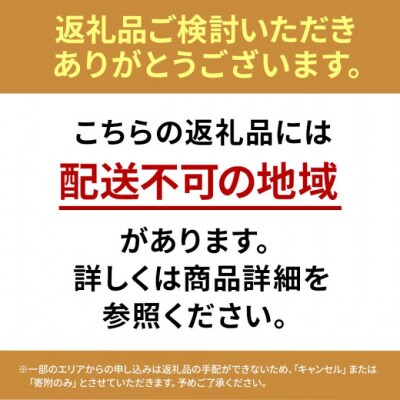 いちご 2027年 先行予約 いちごの宝石箱 1箱 12粒入り[NO5765-1224]
