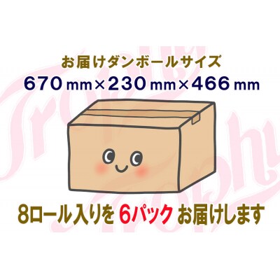 定期便 【全4回】トイレットペーパー ダブル 8個×6パック トロフィー [sf077-085]