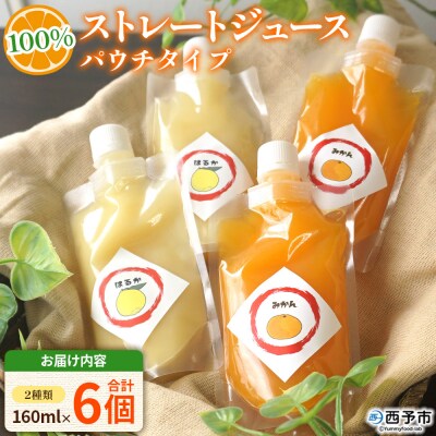 <100%ストレートジュース パウチタイプ温州みかん&はるか 160ml×各3個計6個>愛媛 渡江
